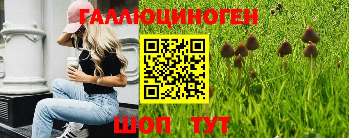 закладки  Псилоцибиновые грибы прущие грибы  Вход с VPN  Галлюциногенные грибы GOLDEN TEACHER  Домодедово 