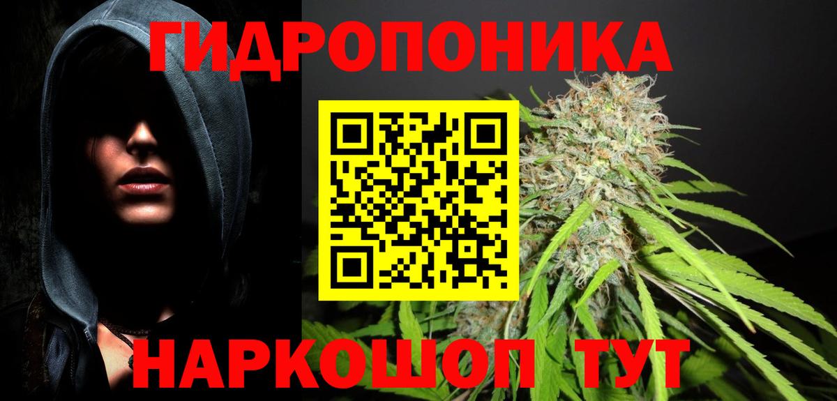 Марихуана сатива Домодедово